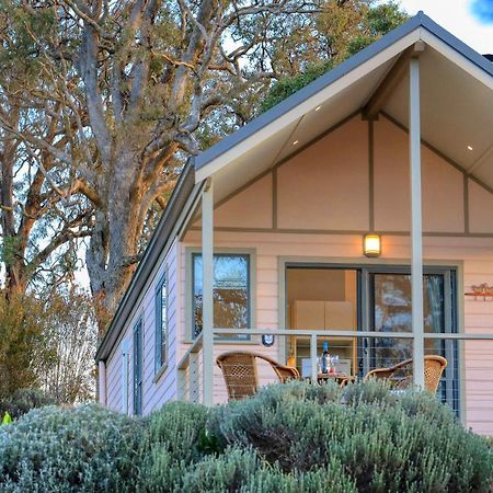 Uralla Grace Cottages מראה חיצוני תמונה