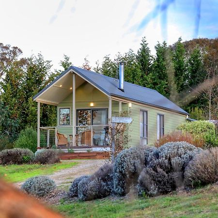 Uralla Grace Cottages מראה חיצוני תמונה