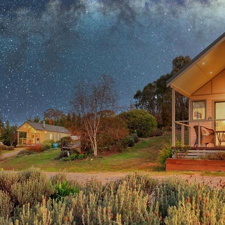 Uralla Grace Cottages מראה חיצוני תמונה
