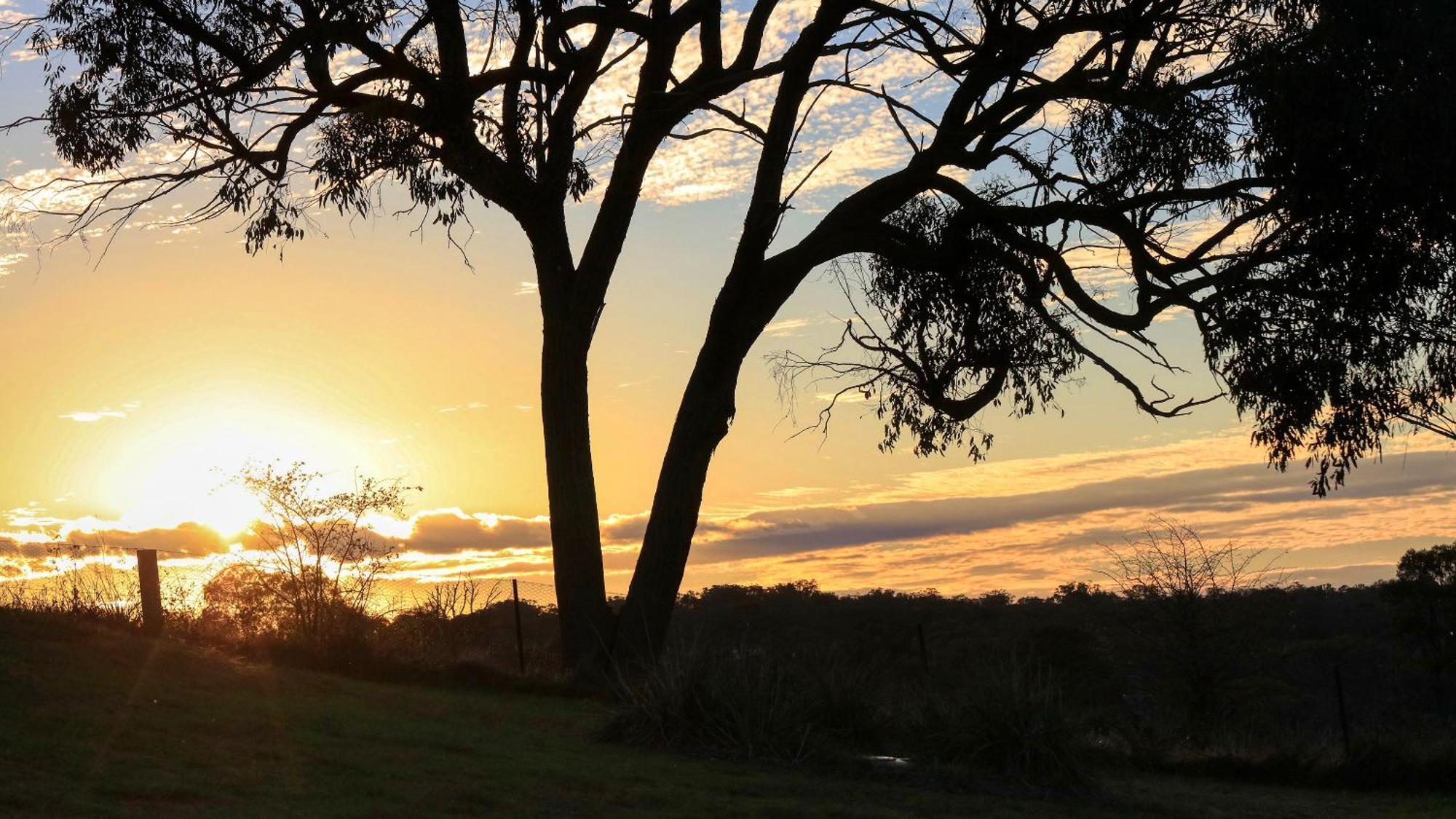 Uralla Grace Cottages מראה חיצוני תמונה