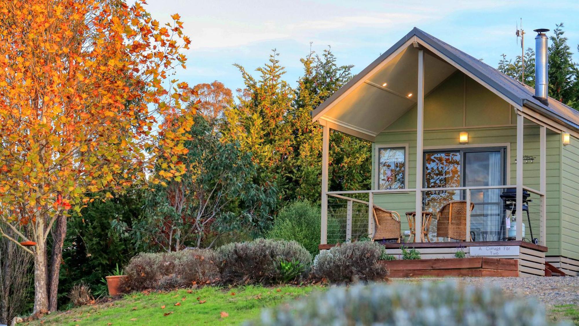 Uralla Grace Cottages מראה חיצוני תמונה