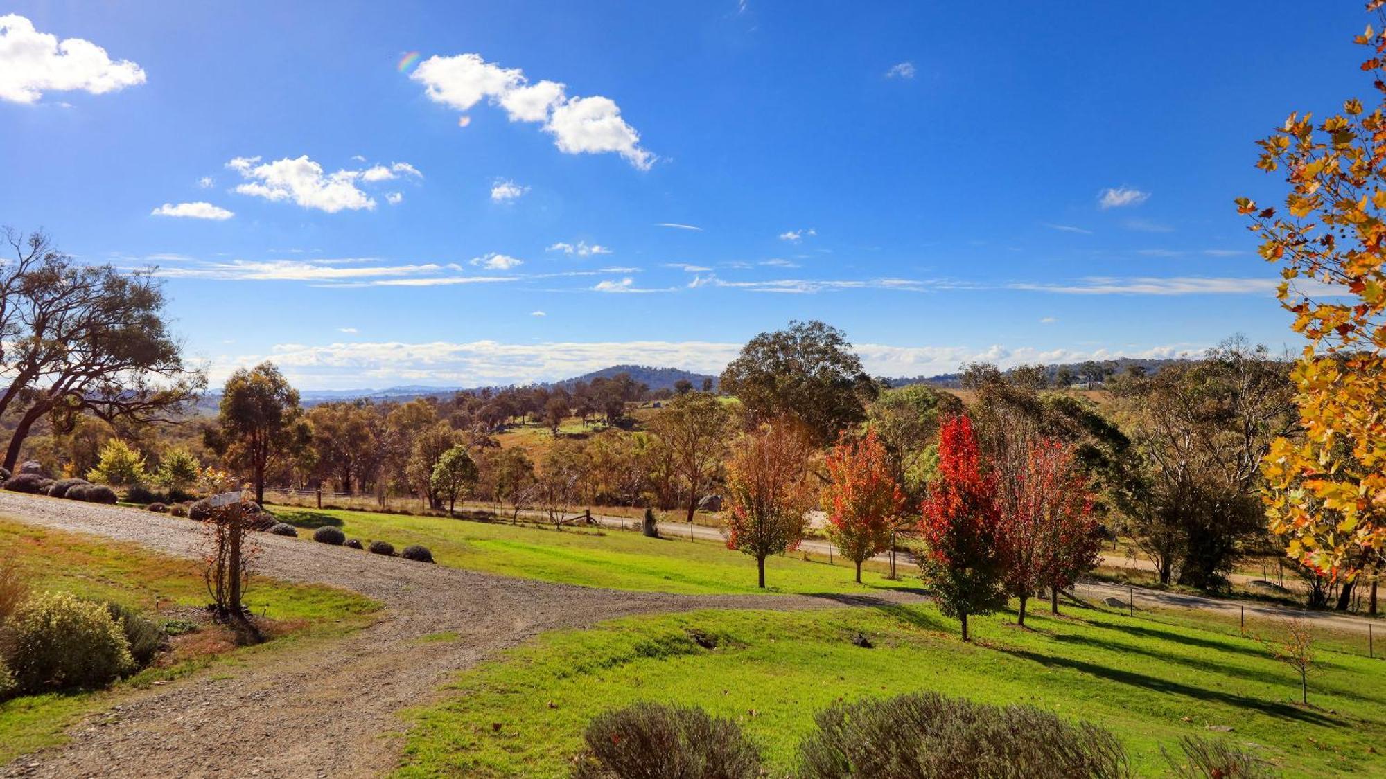 Uralla Grace Cottages מראה חיצוני תמונה